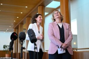 The teals’ dirty little secret: How Canberra’s independent egos are plotting their own political revolution