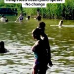 Backlash at selfish Hampstead Heath swimmers grows after three days of splashing, throwing balls and taking dogs for a dip at bird paradise pond during nesting season
