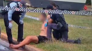 Queensland dog walker, 78, beaten to death with a metal pole and man, 66, choked with a garden hose as random stranger’s alleged deadly rampage