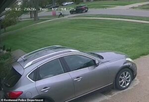 Girl, 14, was enjoying evening walk through her leafy Midwest neighborhood… then a stranger in a black car pulled up alongside her and horror ensued