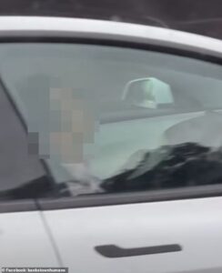 Sydney: Man filmed fast asleep behind the wheel of a Tesla as he zooms down the M2 motorway – before frantic driver started beeping his horn