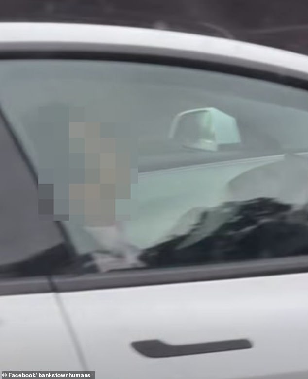 Sydney: Man filmed fast asleep behind the wheel of a Tesla as he zooms down the M2 motorway – before frantic driver started beeping his horn