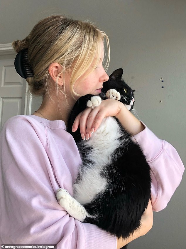 Owner’s beloved cat ‘killed by coyotes’ after pet sitter lost her within five minutes of arriving