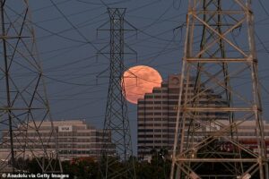 Did YOU see the Blue Moon? Rare phenomenon will light up our night sky again tonight – how to see it
