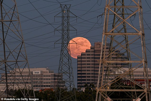 Did YOU see the Blue Moon? Rare phenomenon will light up our night sky again tonight – how to see it