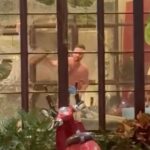 Bizarre moment Aussie tourist is arrested in Vietnam wearing only his underwear after ‘erupting in a violent rage and smashing up an entire cafe’