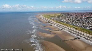 Woman dies and man is left fighting for his life after they got into difficulty in the sea ‘while trying to rescue pet dog’
