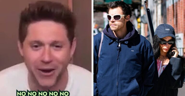 Niall Horan, Harry Styles Wedding Comments, Mix-Up Theory