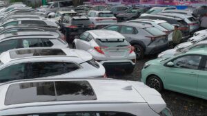 Fuel shortages and high prices push adoption of EVs in Africa, led by Ethiopia » Yale Climate Connections