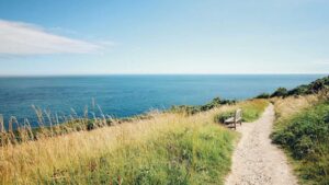 ‘What can I offer?’ New book helps readers navigate their climate journeys » Yale Climate Connections