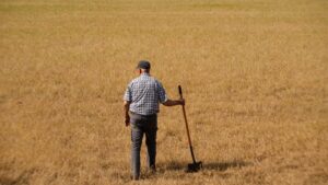 Kansas farmers hit hard by weather extremes and growing costs, wheat crop could be worst since 1972 » Yale Climate Connections