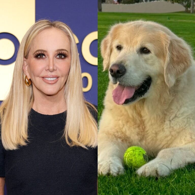 RHOC’s Shannon Beador Shares Dog Archie Died After Brain Cancer Diagnosis