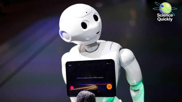 What are AI agents? Inside a real experiment where AI ran a start‑up