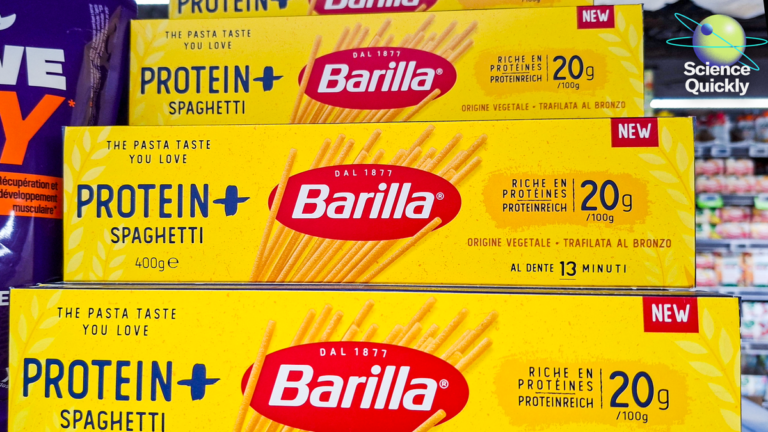 Do you need more protein? What science says about high-protein diets