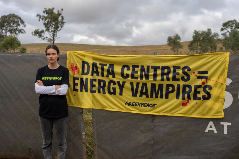 ‘Energy Vampires’: Greenpeace calls for moratorium on data centres as new report reveals frenzied rollout would derail energy transition