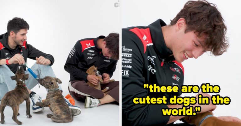F1 Drivers Ollie Bearman And Esteban Ocon Just Answered A Bunch Of Questions While Playing With Puppies