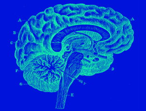 Are the roots of consciousness hidden in the ancient deep brain?