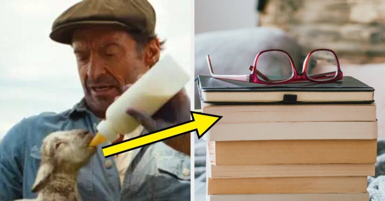 If You Loved "The Sheep Detectives," You Need These 11 Cozy Mystery Books ASAP To Keep The Vibe Going