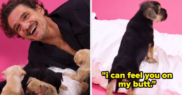 Pedro Pascal Did The Puppy Interview — You're Welcome
