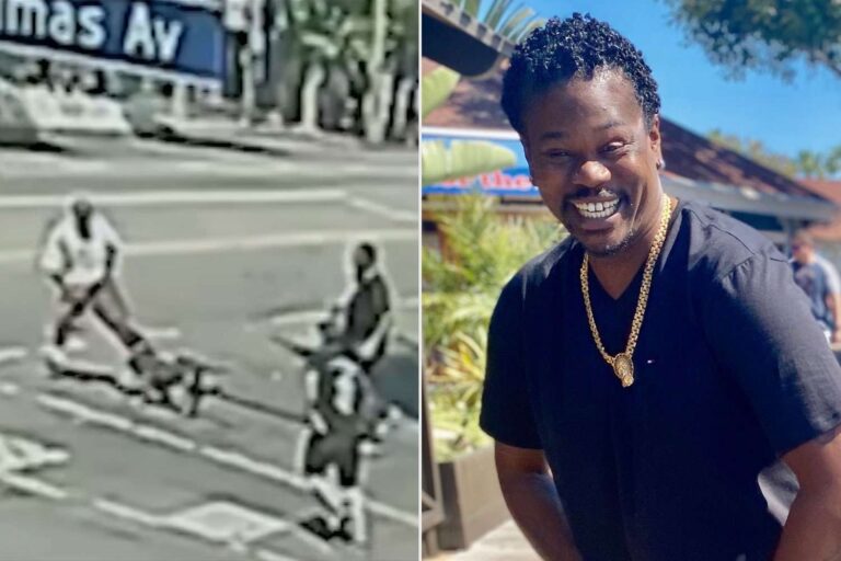 4 Suspects Allegedly Beat and Stab Man to Death After He Tried Defending Himself from a Pit Bull on Hollywood Walk of Fame