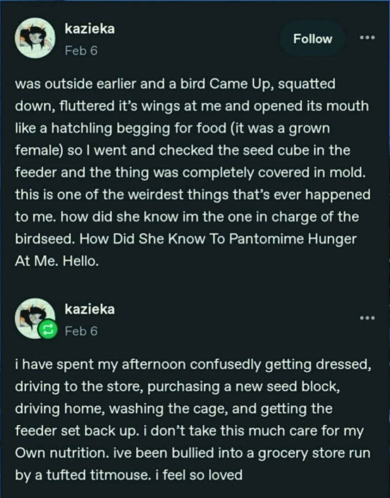 Bro did not say that.