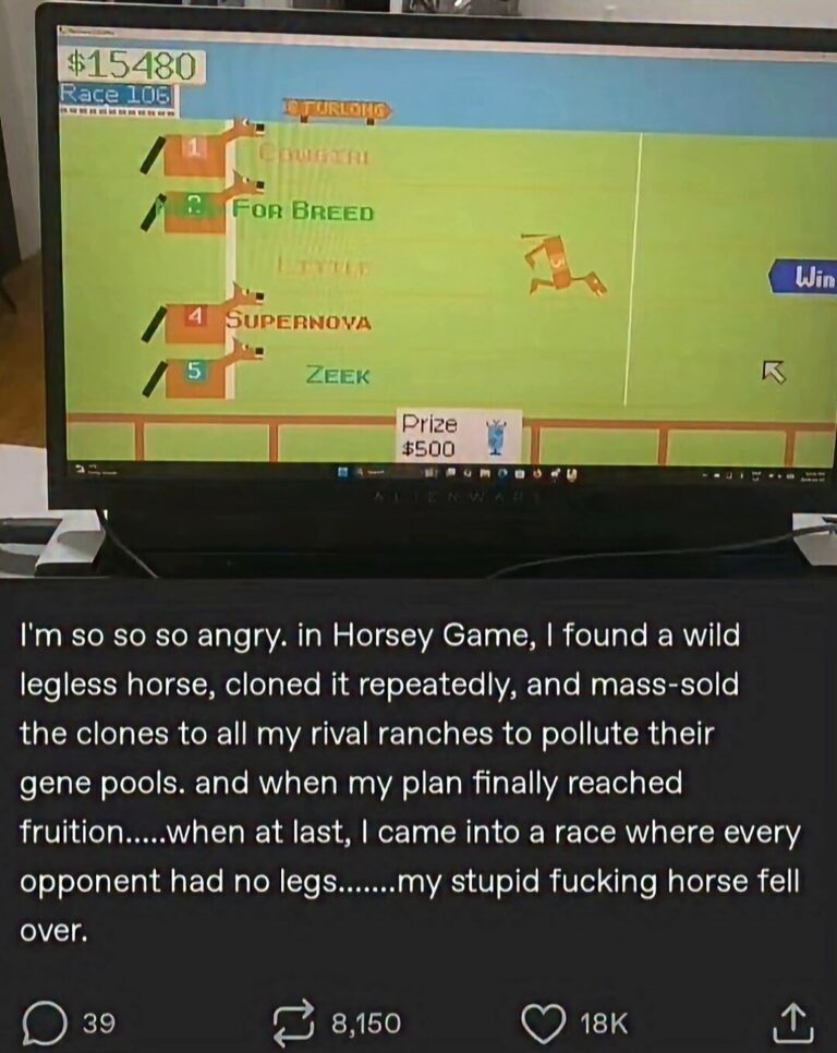 Bro needs a map.