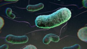 Implantable ‘living materials’ that deliver drugs on demand could help fight infections
