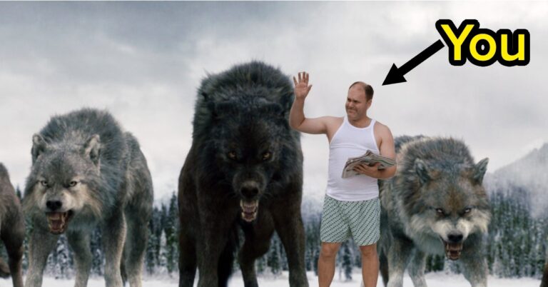 Pick A Bunch Of Movies And I'll Tell You What Fictional Movie World You'd Fit Into