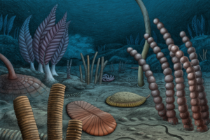 These bizarre fossils represent some of the earliest moving, sexually reproducing life ever discovered