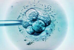 China just launched a bunch of fake human embryos into space on a new research mission