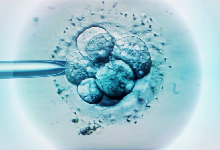 China just launched a bunch of fake human embryos into space on a new research mission