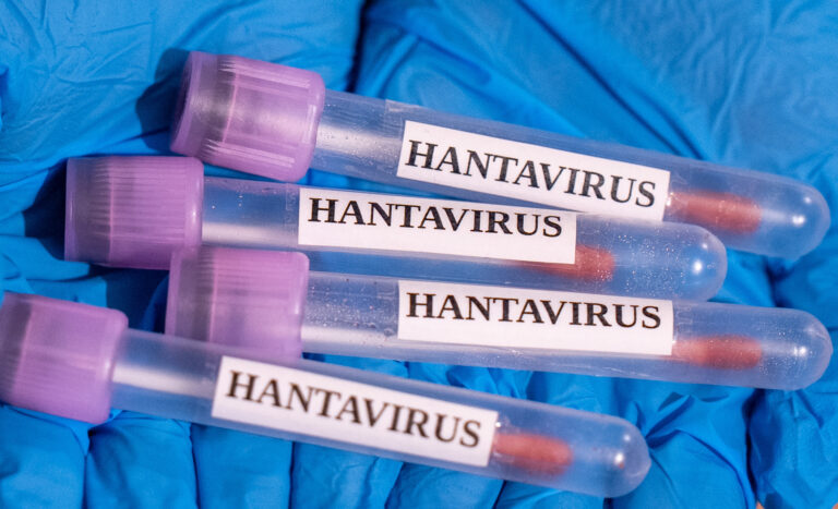 Hantavirus Cruise Ship Evacuations Begin After Deadly Outbreak