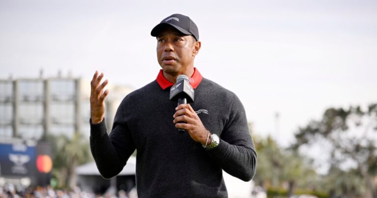 Tiger Woods Returns to Instagram After Announcing Treatment