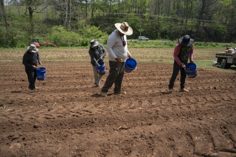 A $20 backpack could help farmworkers stay hydrated during extreme heat » Yale Climate Connections