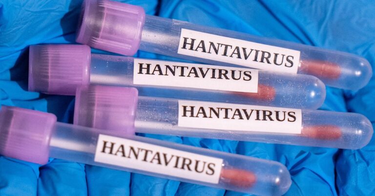 Why the Hantavirus Cruise Ship Outbreak Isn’t Likely to Become a Global Crisis