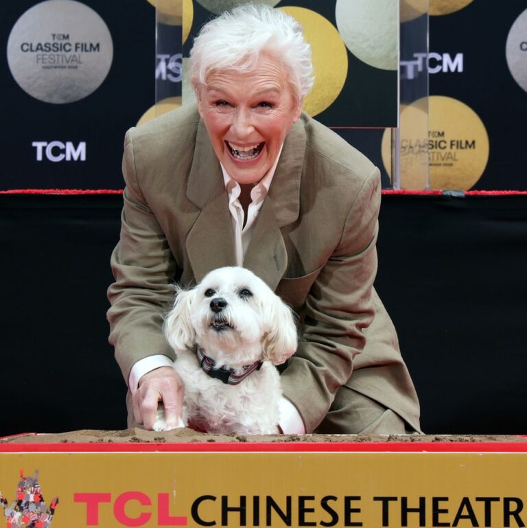 Glenn Close Brings Her Pup Along for Her Hand and Footprint Ceremony, Plus Jimmy Fallon, Melissa McCarthy, and More