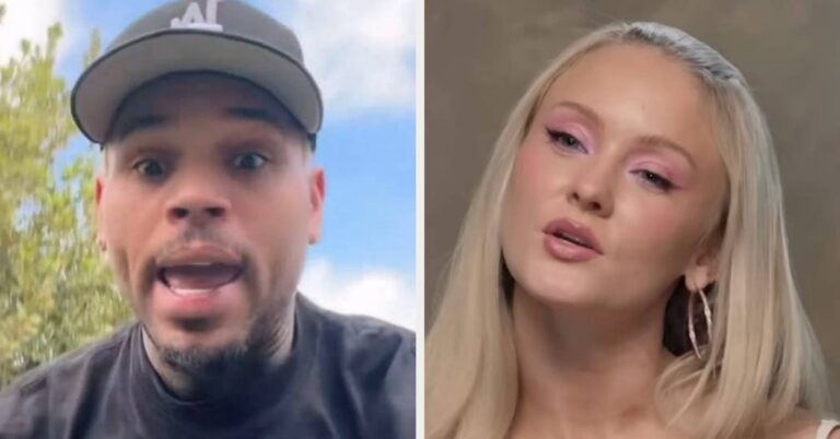 Chris Brown Calls Out Zara Larsson In Response To Album Criticism