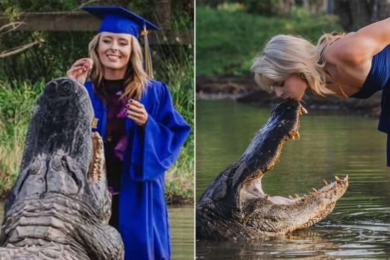 College Student’s Shocking Graduation Portraits Include Massive Alligators Named Tex and Big Al (Exclusive)