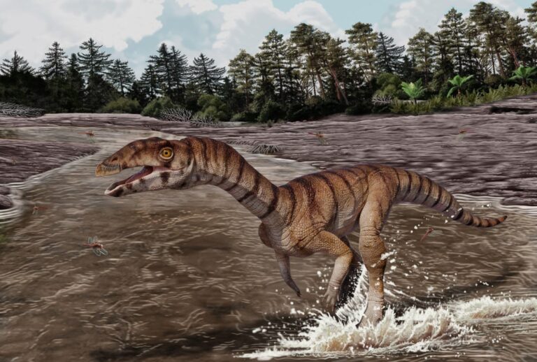A toothless, beaked, bipedal crocodile cousin roamed Earth 200 million years ago