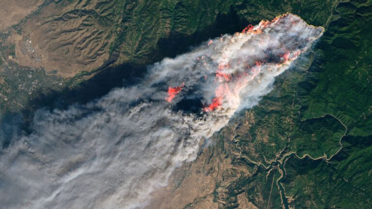 A hidden wildfire pollutant causes thousands of excess deaths per year, satellite data shows