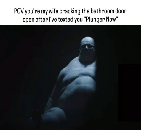 plunger