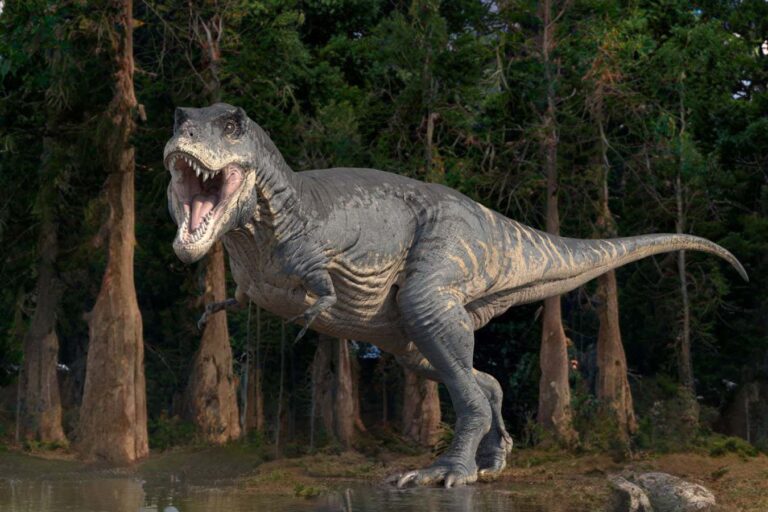 We may finally know why dinosaurs like T. rex evolved tiny arms