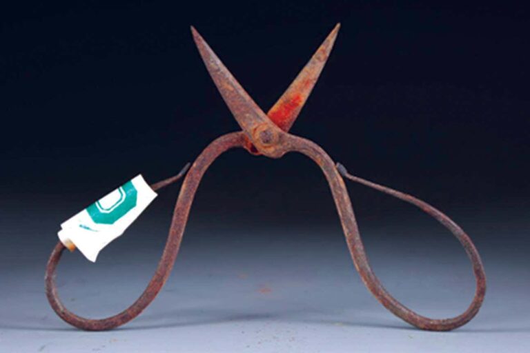 Earliest use of anaesthetics uncovered in Chinese doctor’s tomb