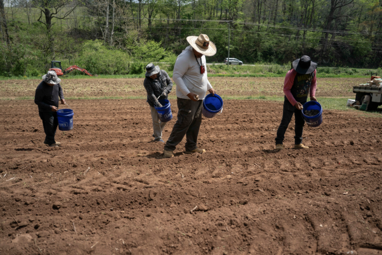 Una mochila de $20 podría ayudar a los trabajadores agrícolas a mantenerse hidratados durante el calor extremo. » Yale Climate Connections