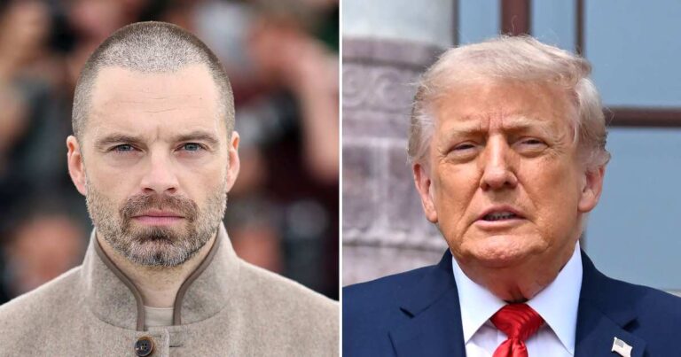 Sebastian Stan Slams Donald Trump After The Apprentice Movie