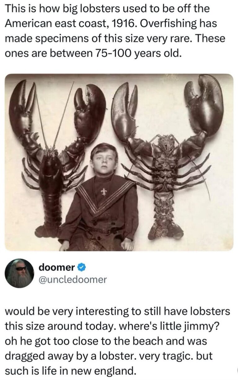 This is peak brainrot.