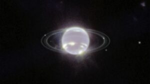 Where did Neptune’s mysterious moon Nereid come from?