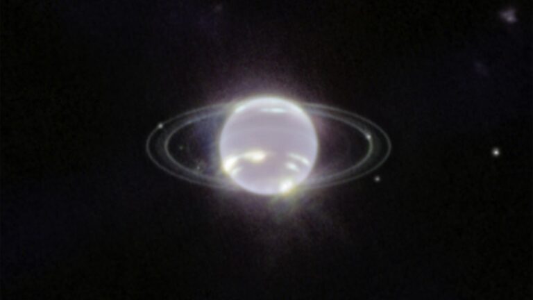Where did Neptune’s mysterious moon Nereid come from?