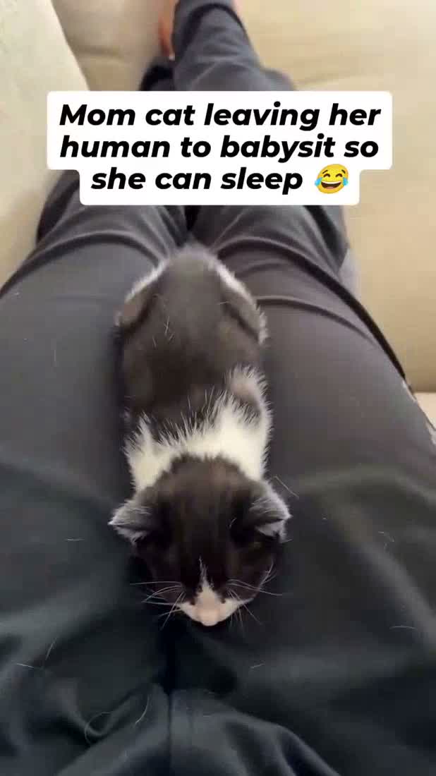Babysitter (don't unmute)