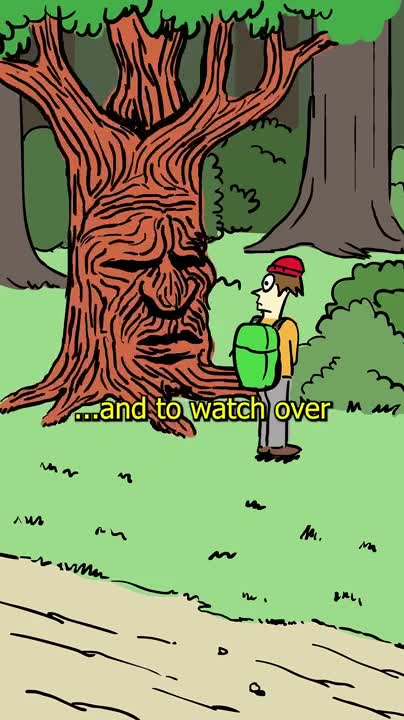 I want to watch too